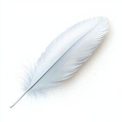 Obraz premium Elegant white feather illustration