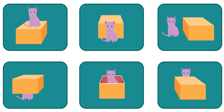 positions of the cat relative to the orange box	