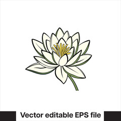 Vector Lilly pad flower
