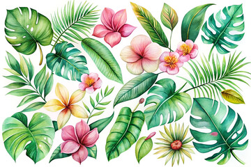 Watercolor Tropical Leaves and Flowers with Monstera and Hibiscus