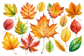 Obraz premium Watercolor Autumn Leaves Collection Illustration for Nature Art.png