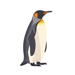 Fototapeta premium Adorable Penguin Full Body Vector Illustration for Creative Projects