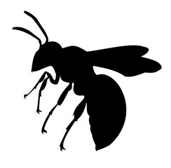 Wasp silhouette