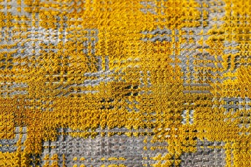 Digitally manipulated yellow lichen texture with an abstract woven effect The intricate organic...