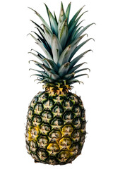 Fototapeta premium Single Pineapple with Green Leaves and Yellow Body Detailed Texture with Dark Background
