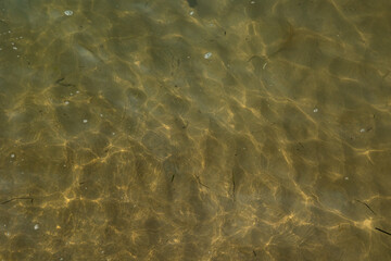 fondale marino sabbioso visto attraverso l'acqua di mare trasparente