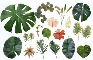 Various tropical leaves and flowers arranged on a white background showcasing diverse shapes and colors in a natural composition