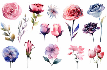 Collection of watercolor floral designs showcasing a variety of roses and other flowers in soft colors and elegant shapes