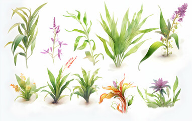 Fototapeta premium Collection of various botanical illustrations showcasing vibrant plants and flowers in a serene, natural setting emphasizing different leaf shapes and colors