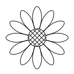 Elegant Botanical Flower Vector Illustration Design