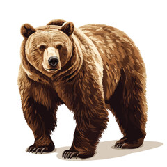 Obraz premium Full Body Grizzly Bear Vector Illustration - Detailed and Realistic Wildlife Graphic