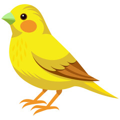canary vector illustration, songbird wildlife drawing