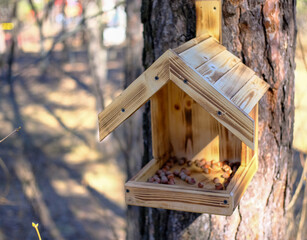 Obraz premium wooden squirrel feeder hanging on a tree in a city park