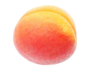 Raw apricot fruit cutout