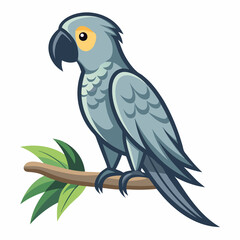 blue and yellow macaw