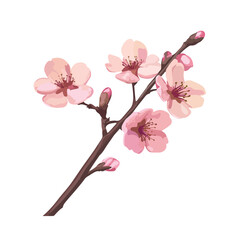 Elegant Pink Cherry Blossom Branch Isolated on Vector Background
