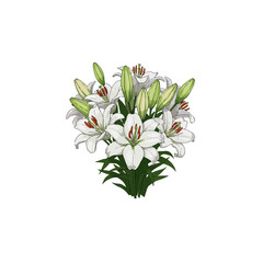 bouquet of snowdrops