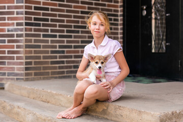 Tired welsh corgi pembroke puppy lying on its owners leg