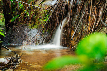 A serene waterfall cascading over rocks into a calm pool, surrounded by lush greenery and tropical plants in El Yunque National Forest, Puerto Rico.