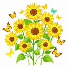 sunflower isolated on white background