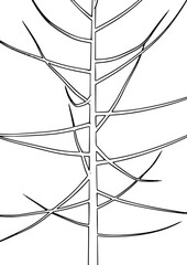 Dead tree line art