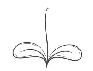 Sprouted plant with rounded leaves line illustration. Spring, planting and nature design element. Isolated vector image