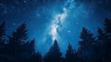 Naklejka premium Majestic Milky Way Galaxy over Silhouetted Pine Forest at Night