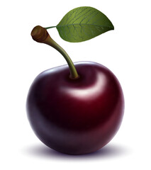 one beautiful red glossy cherry on white background