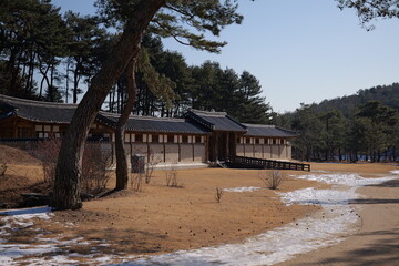 겨울 눈 쌓인 산의 숲속 오래된 소나무와 파란 푸른 하늘과 고즈넉한 한국 대한민국 조선의 한옥 집이 어우러진 동양 자연의 풍경 사진 배경화면
