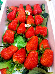 Fresh strawberries close-up