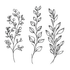 Naklejka premium Elegant Floral Branch and Minimalist Leaves for Logo Design