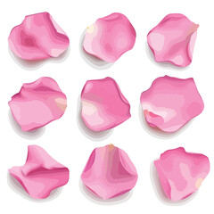 Elegant Pink Rose Petals Vector Illustration for Design Projects