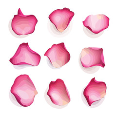 Elegant Pink Rose Petals Vector Illustration for Design Projects