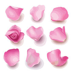 Elegant Pink Rose Petals Vector Illustration for Design Projects