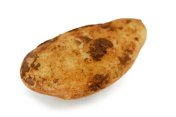 Discovering the natural beauty of an earthy potato with its unique shape and texture