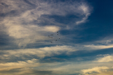 blue sky background with white clouds.Sky clouds.Sky with white clouds.
