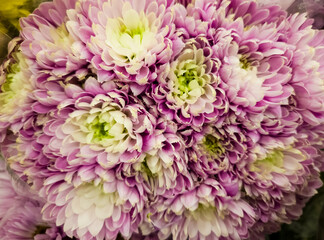 Fototapeta premium Floral backdrop pattern with vibrant close up flower blooms and foliage