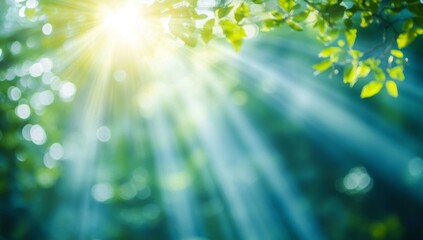 Sunlight filtering through lush foliage.  Sunlight beams through vibrant green leaves, creating a soft, ethereal glow.  Natural bokeh effect adds depth and a sense of serenity