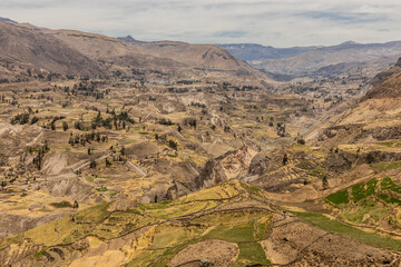 Aerial view of Colca canyon, Peru