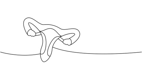 Reproductive system one line continuous drawing. Human internal organ continuous one line illustration.