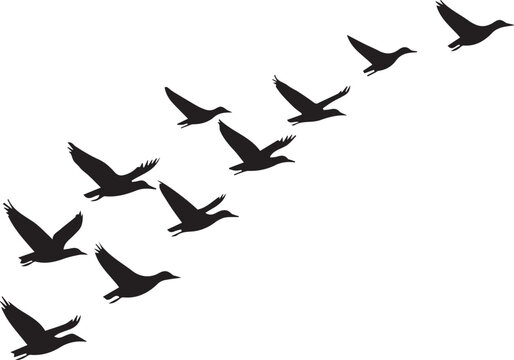 Silhouette of birds migrating in the sky, wings spread wide vector silhouette