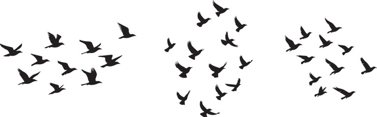 Silhouette of a group of birds flying across the sky vector silhouette