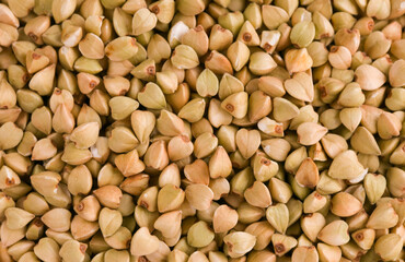 green buckwheat background texture