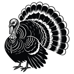 turkey vector illustration isolated on white