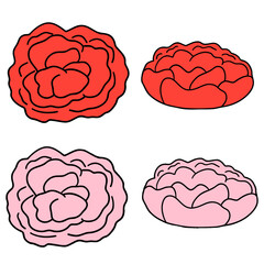 4つのカーネーション（線あり）