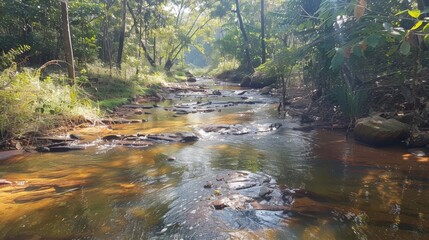 Obraz premium Serene Forest Clear Stream Scene, Vibrant Greenery and Wildlife Flourishing, Environmental Harmony Depicted.