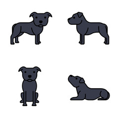 staffordshire-bull-terrier.-dog