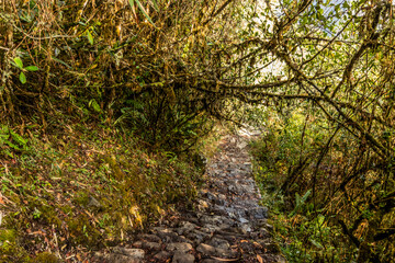 Steps leading to Machu Picchu mountain, Peru