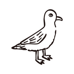 Seagull icon, Vector hand drawn sketched design element.