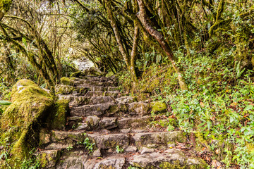 Steps leading to Machu Picchu mountain, Peru